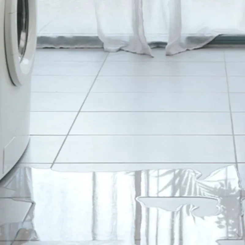 Appliance Leak Cleanup in Waverly, MI
