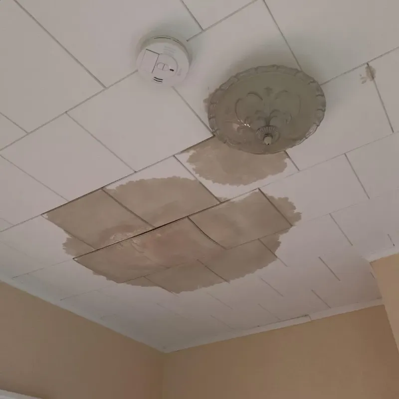 Ceiling Water Damage Repair in Waverly, MI