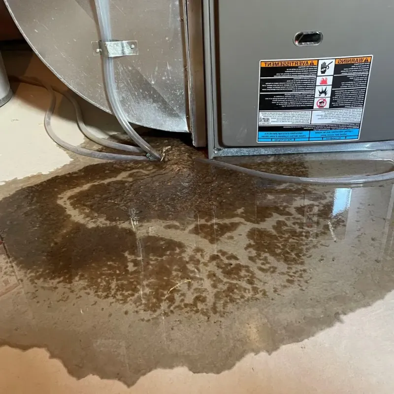 Pipe Burst and Leak Restoration in Waverly, MI