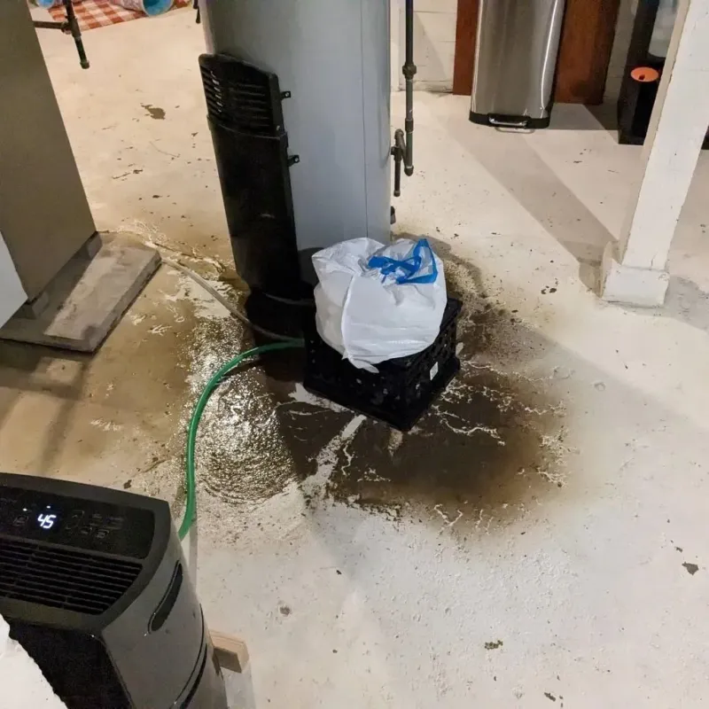 Sewage Backup Cleanup Service in Waverly, MI